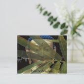 Bambusbuddha Einladung (Stehend Vorderseite)