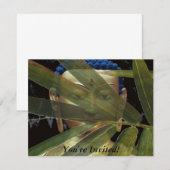 Bambusbuddha Einladung (Vorne/Hinten)