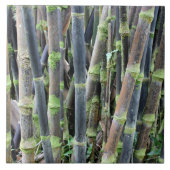 Bambusentwurfs-Wand-Fliese Fliese (Vorderseite)