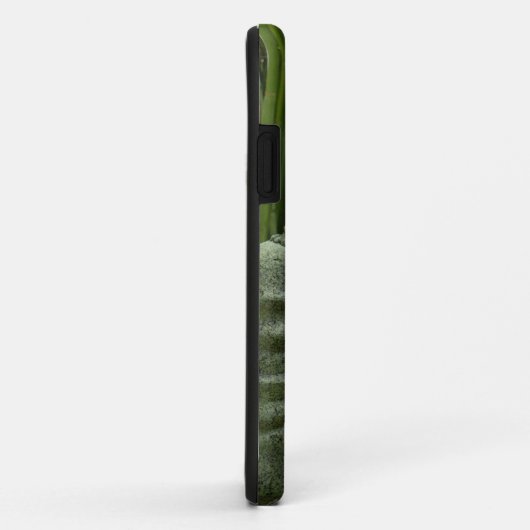 Bambusfall buddhas iPhone5 Case-Mate iPhone Hülle (Hinten/Rechts)