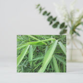 Bambusgras Postkarte (Stehend Vorderseite)