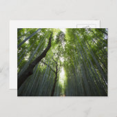Bambuskorridor Postkarte (Vorne/Hinten)