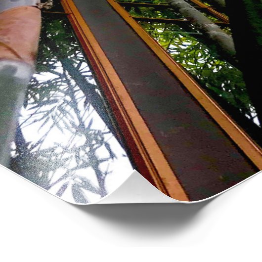 Bambuskunst Fotodruck (Ecke)