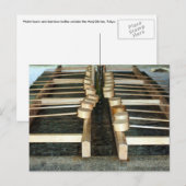 Bambusladinen Postkarte (Vorne/Hinten)