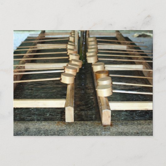 Bambusladinen Postkarte (Vorderseite)