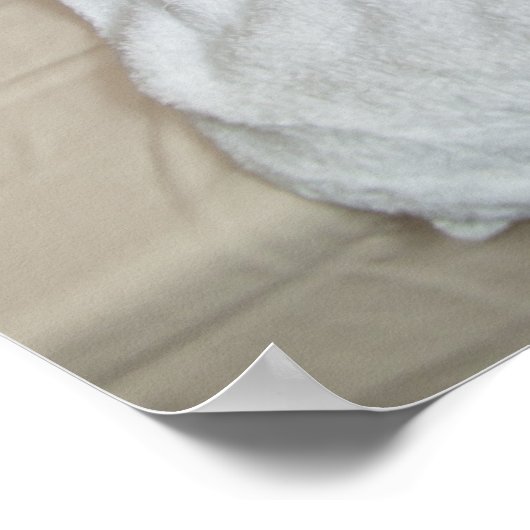 Bambusmassage an Rippen Poster (Ecke)