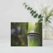 Bambuspostkarte (Farbe) Postkarte (Stehend Vorderseite)