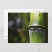 Bambuspostkarte (Farbe) Postkarte (Vorne/Hinten)