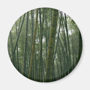 Bambusse Magnet