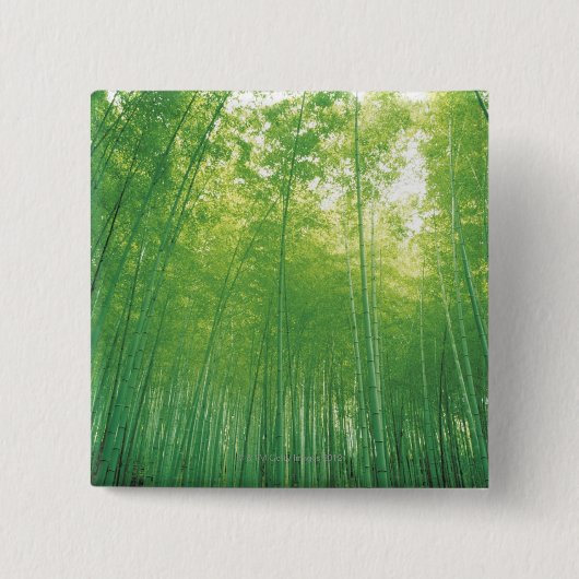 Bambuswald 2 button (Vorderseite)