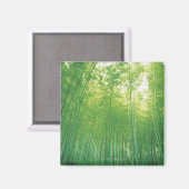 Bambuswald 2 magnet (Vorderseite/Rückseite)