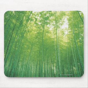 Bambuswald 2 mousepad