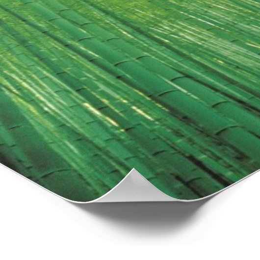 Bambuswald 2 poster (Ecke)