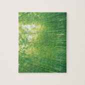 Bambuswald 2 puzzle (Vertikal)