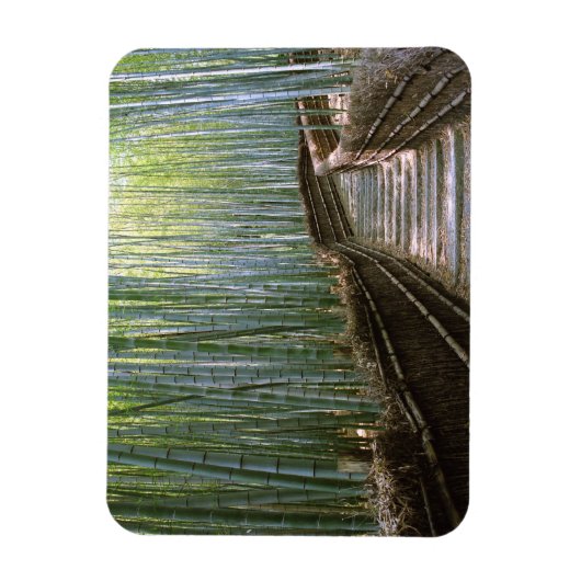 Bambuswald in Kyoto Magnet (Vertikal)