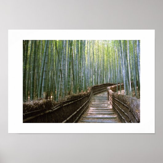 Bambuswald: Kyoto, Japan Poster (Vorne)