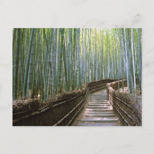 Bambuswald: Kyoto, Japan Postkarte (Vorderseite)