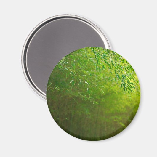 Bambuswald Magnet (Vorderseite/Rückseite)