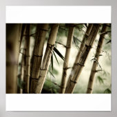 Bambuswald Poster (Vorne)