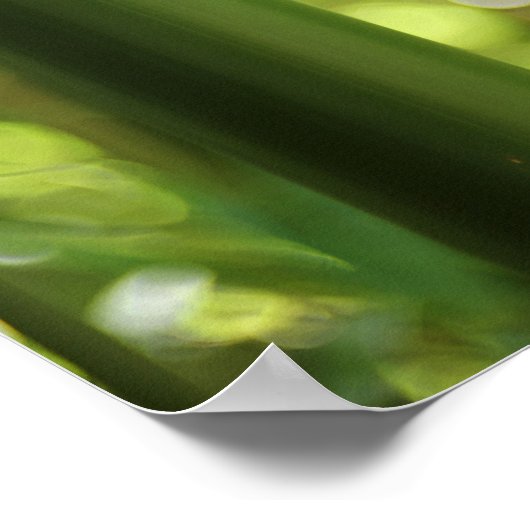 Bambuswald (Poster) Poster (Ecke)