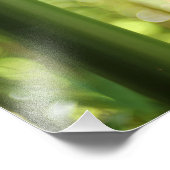 Bambuswald (Printwerbung) Fotodruck (Ecke)