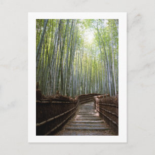 Bambuswaldpfad: Sagano, Kyoto Postkarte