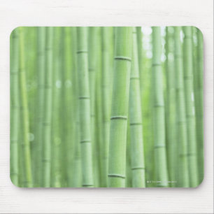 Bambuswaldung Mousepad