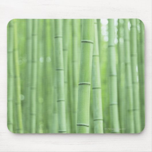 Bambuswaldung Mousepad (Vorne)
