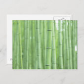 Bambuswaldung Postkarte (Vorne/Hinten)