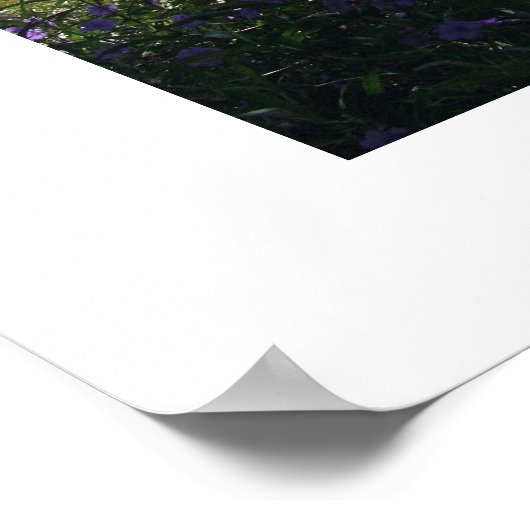 Bambuszaun-Perspektive Poster (Ecke)