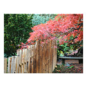 Bambuszaun und japanische Ahorn-Blätter Fotodruck (Vorne)