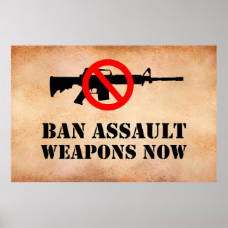 Ban Assault Waffen Poster