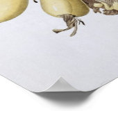 Banana, 1816 poster (Ecke)