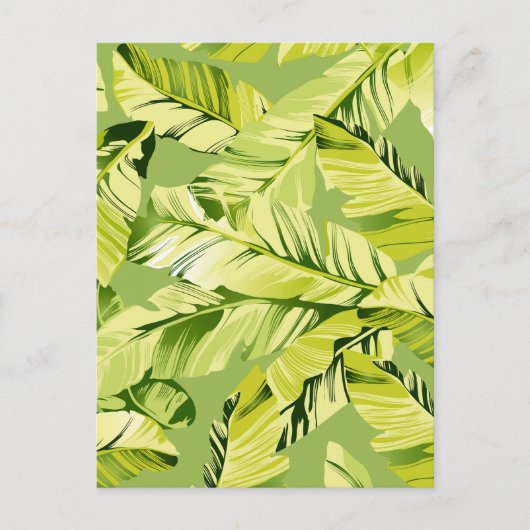 Banana-Blätter 5 Postkarte (Vorderseite)