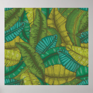 Banana-Blätter: Botanische Vintage Hand Gezeichnet Poster
