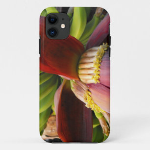 Banana-Blume Case-Mate iPhone Hülle
