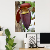 Banana-Blume Poster (Heimbüro)