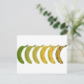Banana-Evolution Postkarte (Stehend Vorderseite)
