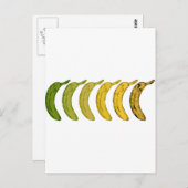 Banana-Evolution Postkarte (Vorne/Hinten)