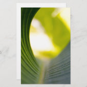 Banana Leaf Briefpapier (Vorne/Hinten)