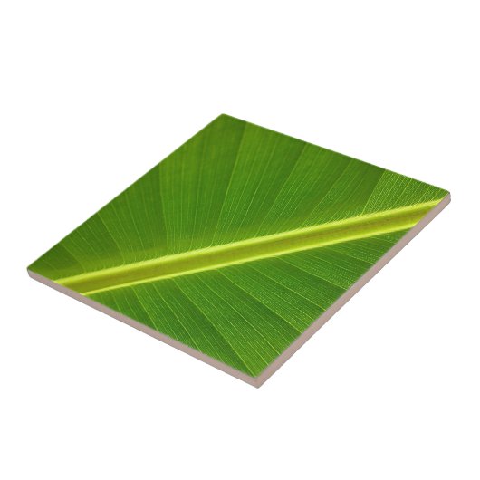 Banana Leaf Fliese (Seite)