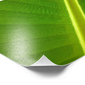 Banana Leaf Macro Fotodruck (Ecke)