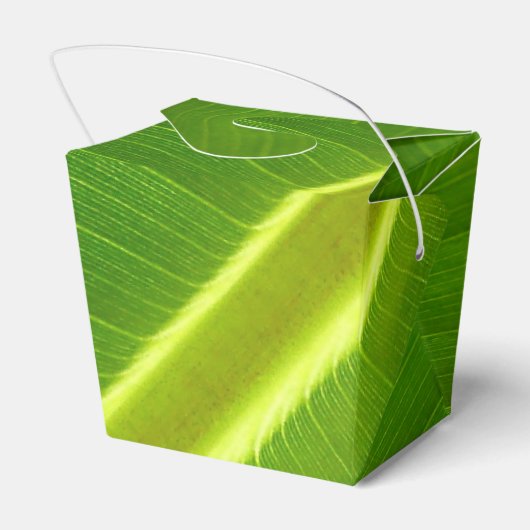 Banana Leaf Macro Geschenkschachtel (Rückseite)