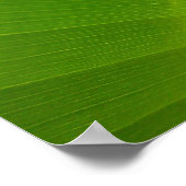 Banana Leaf Macro Poster (Ecke)