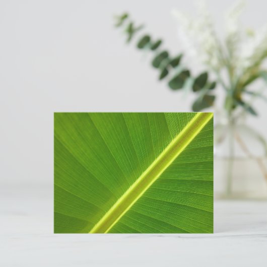 Banana Leaf Macro Postkarte (Stehend Vorderseite)
