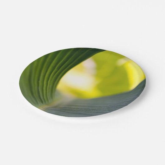 Banana Leaf Pappteller (Schrägansicht)