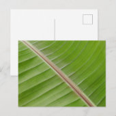 Banana Leaf Postcard Postkarte (Vorne/Hinten)