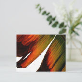Banana Leaf Postkarte (Stehend Vorderseite)
