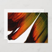 Banana Leaf Postkarte (Vorne/Hinten)