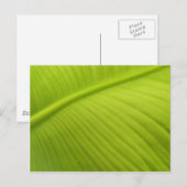 Banana Leaf Postkarte (Vorne/Hinten)